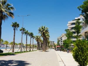 The promenade in Vlore.  This is a wide promenade with a long rows of palm trees.  One the right are flats with balconies overlooking it