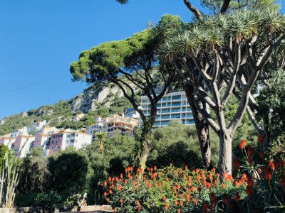 A view from the botanic garden in Gibraltar