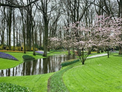 Part of the river running through the garden - this is a small section with trees and lush green banks surrounding it