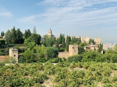 View of the Alhambra palace and Alcazaba from the Generalife.  You can see the vegetation surrounding the buildings
