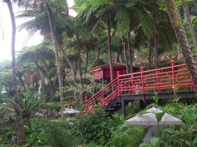 A pathway inside the Monte tropical garden - this is framed with red railings and has tropical plants surrounding it