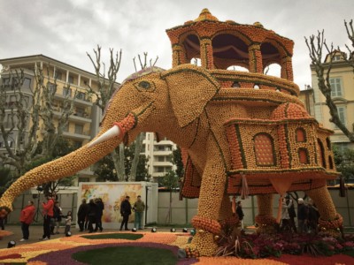 A large elephant made of citrus fruit.  It is standing to the left with it's trunk swinging out