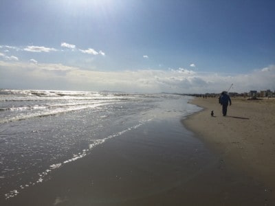 A view of the beach in Rimini - you can see a person walking their dog