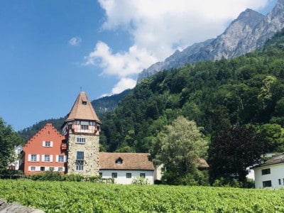 The "Red House" invaded in Liechtenstein.  This abuts a tower and smaller white building and is in front of trees and mountain top.