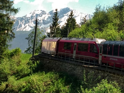A photo of the Bernna Express train riding through alpine trees with the mountains in the background