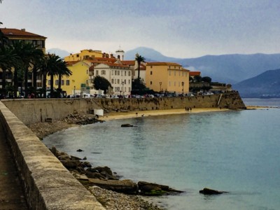 A view of a bay in Ajaccio.  You can see the sea wall with building lining it.  There are also palm trees
