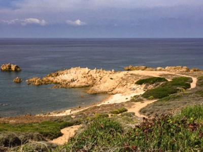 A view of part of the Sanguinaires archipelago.  You can see the rock going out into the sea and the scrubby vegetation.