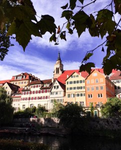 A view of Tubingen across the river with the sycamore trees in the foreground.