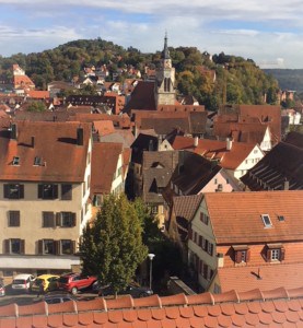 A view over Tubingen over the rooftops from the castle
